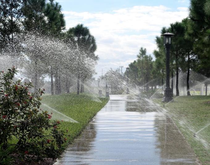 Sprinklers spraying onto a shrub, some grass, and a concrete walking path.