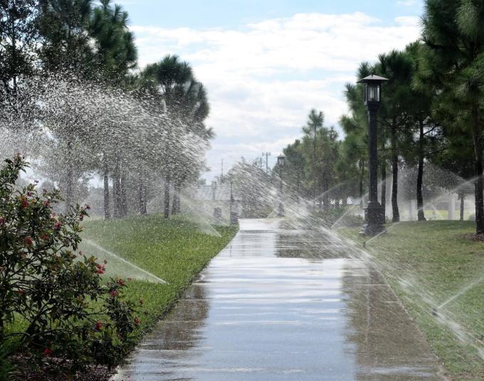Sprinklers spraying onto a shrub, grass, and a concrete walking path.