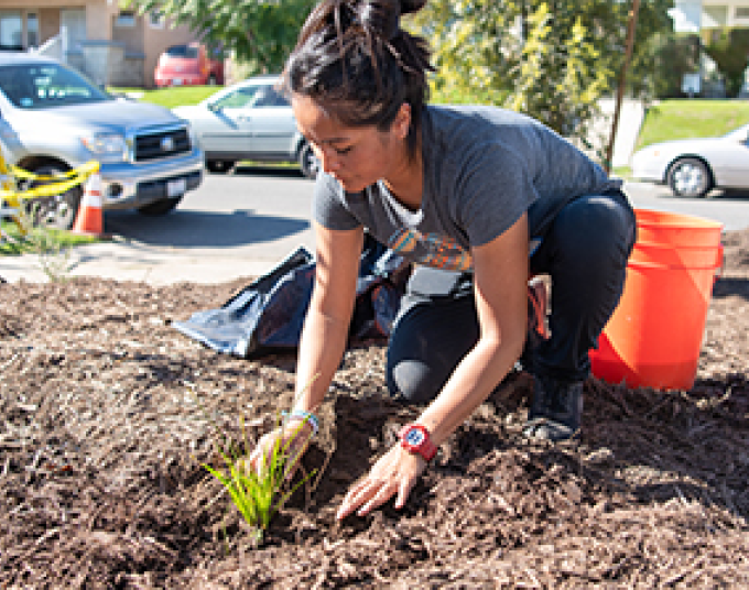 Young woman with dark hair in a bun places mulch around a plant in a garden. She is wearing a grey shirt and dark jeans and kneeling on a front yard with her hands in the dirt. An orange bucket sits behind her.