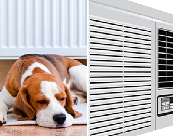 A dog naps comfortably on the floor. A window air conditioner is set to 78 degrees.