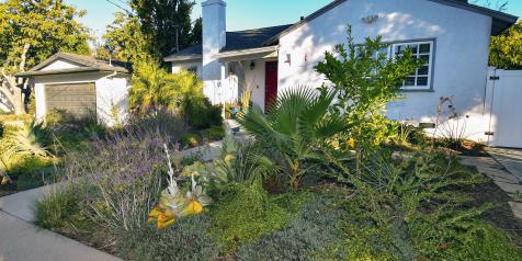 Drought tolerate front yard