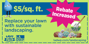 Neon green coupon design featuring the Drop character and succulents. Text reads $5 square foot. Replace your lawn with sustainable landscaping. Inside a magenta sunburst are the words Rebate Increased.