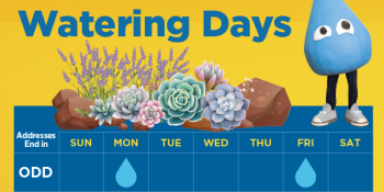 A water drop character with days of the week calendar. Text reads Know Your Watering Days. Water drop on Monday and Fri for addresses ending in odd, and on Sunday and Thursday for even addresses.
